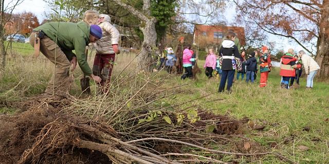 Les enfants ont été mis à contribution pour planter des arbres et des haies
