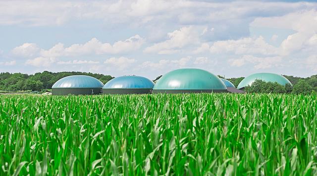 Méthaniseurs qui produisent du biogaz