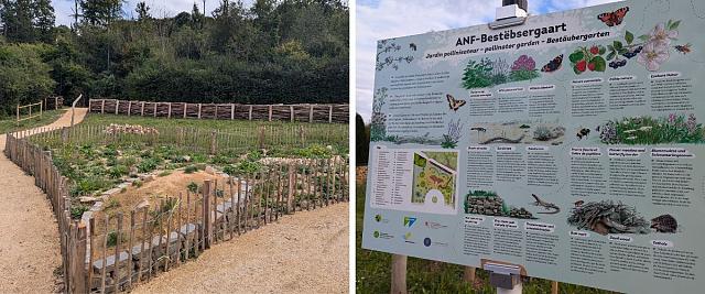 À Bereldange, un jardin pollinisateur a été mis en place dans une prairie inoccupée. Des murs à insectes et plantes favorisant la pollinisation enrichissent maintenant cet espace, que les habitants peuvent fréquenter à leur guise. 