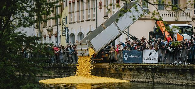 Les canards de la Duckrace sont déversés depuis la remorque d'un camion de façon totalement aléatoire