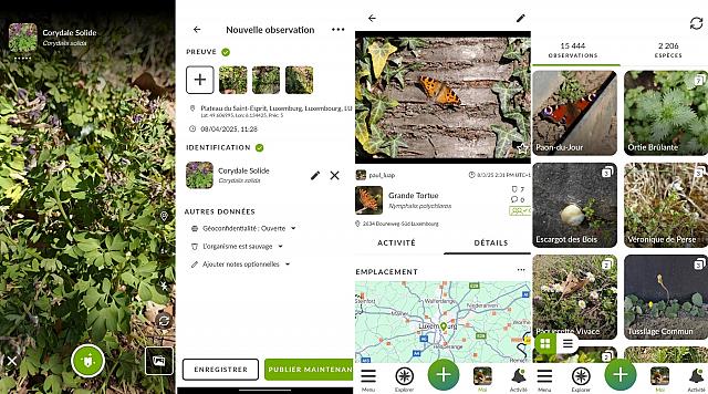 L'interface de l'application iNaturalist. 