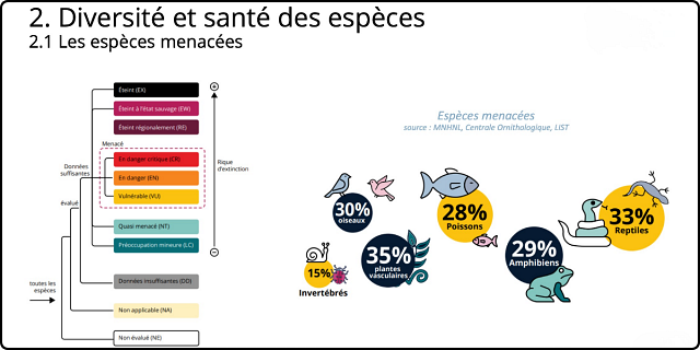 Les espèces menacées