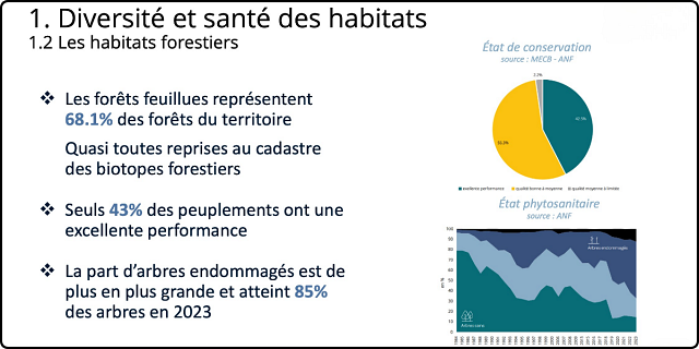 Les habitats forestiers