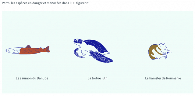 Le saumon du Danube, la tortue luth et le hamster de Roumanie font partie des espèces en danger d'extinction dans l'Union européenne