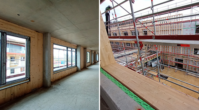 Le projet du Tricentenaire est une construction hybride avec une structure portante en béton et une enveloppe thermique en bois, associée à un isolant biosourcé.