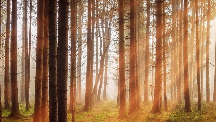 Why ESG ? The rationale behind sustainability in finance