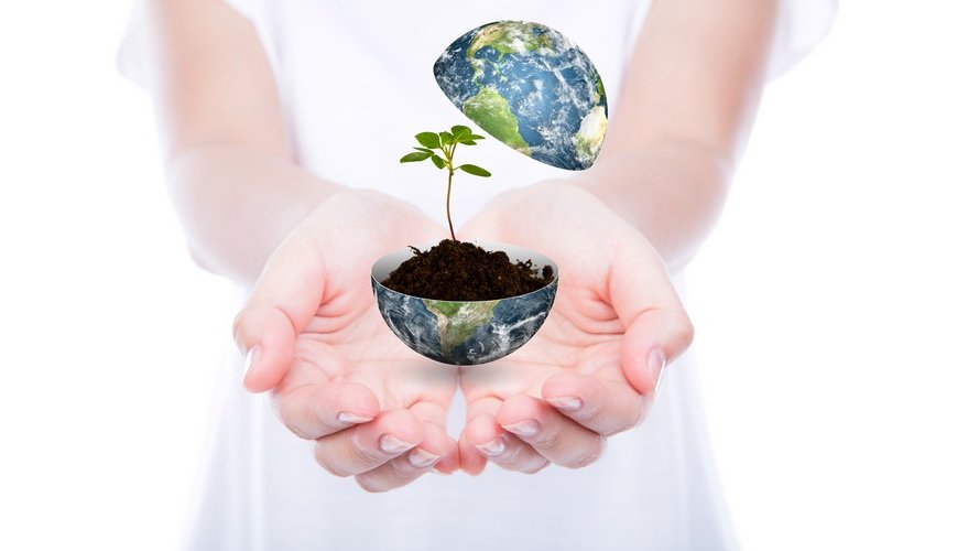 Alimentation : cultiver en s'inspirant de la nature