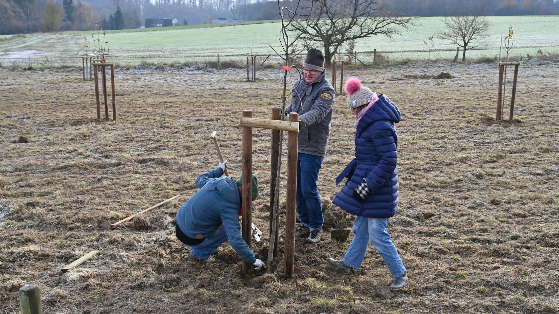 #BamChallenge, un élan collectif qui fait pousser des arbres