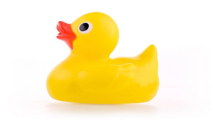 Duck Race