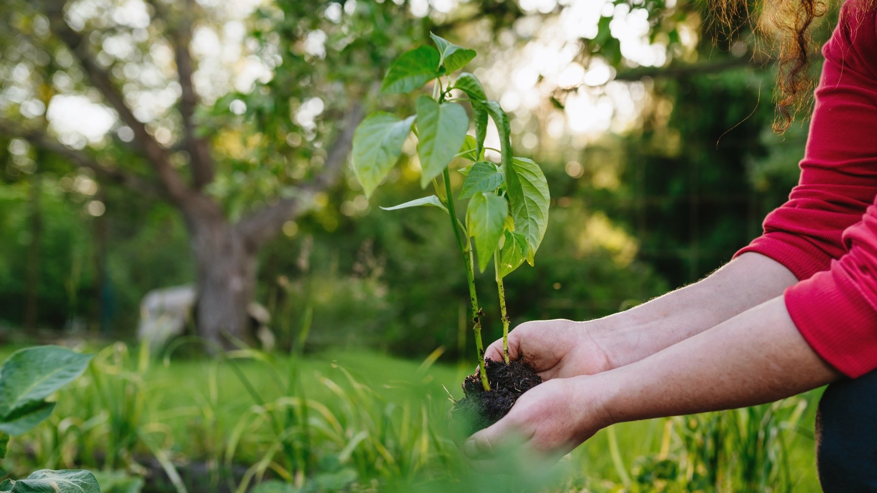 « reNature 2 » : 28 projets choisis pour renforcer la biodiversité au Luxembourg