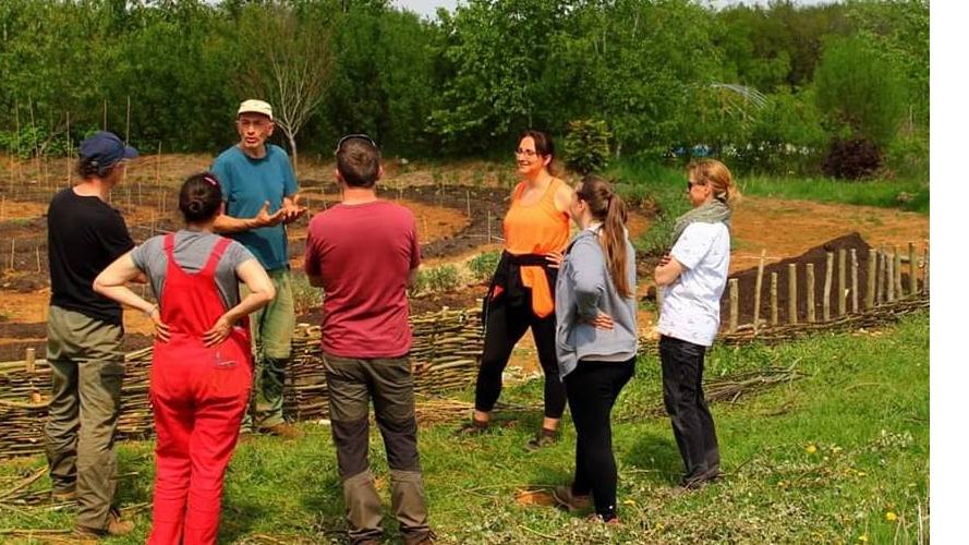 Besoin de conseils pour créer un potager collectif ou communal ?