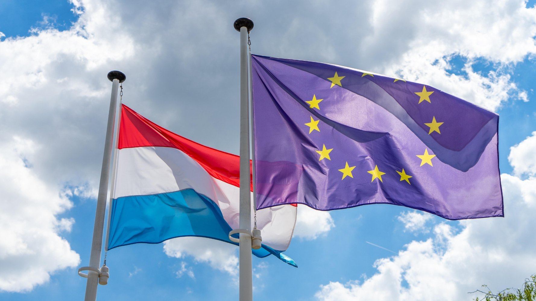 Les consommateurs mieux renseignés grâce à des labels plus exigeants