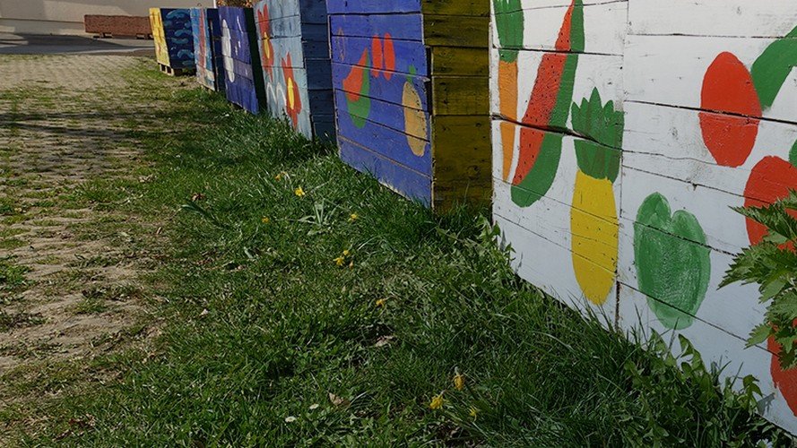 Meng Aktioun : partager les plus belles initiatives en faveur du développement durable