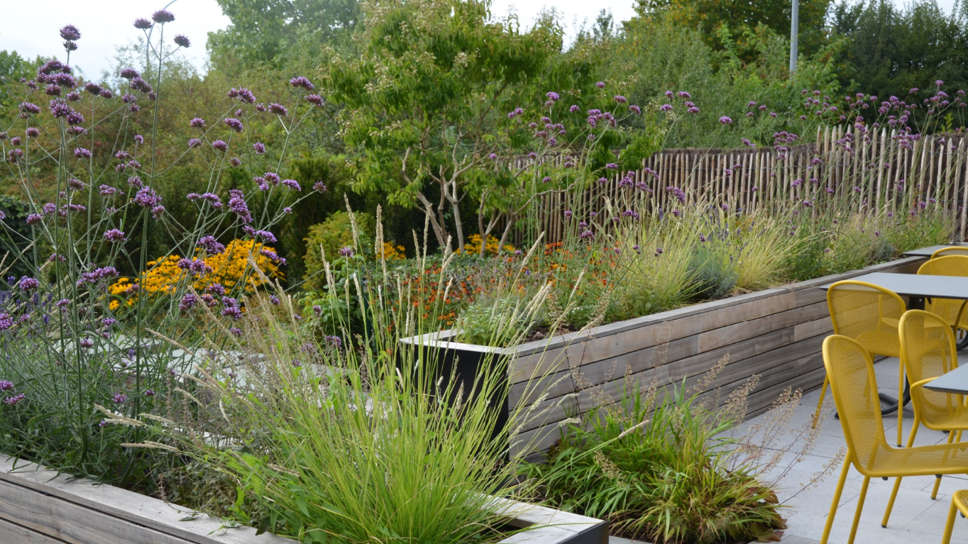 Conférence et visite de notre terrasse