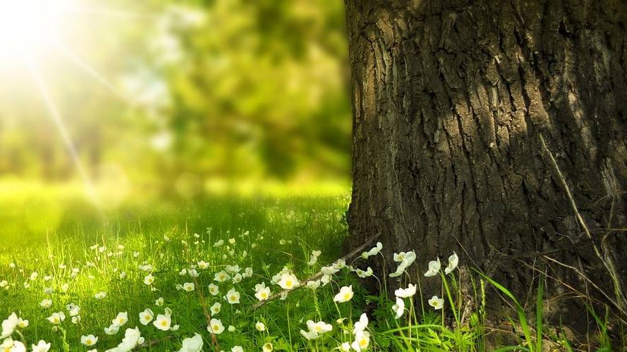 Chantiers nature - « Fit by nature »