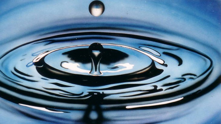 Métiers de l'alimentation : comment réduire votre consommation d'eau et optimiser le traitement des eaux usées