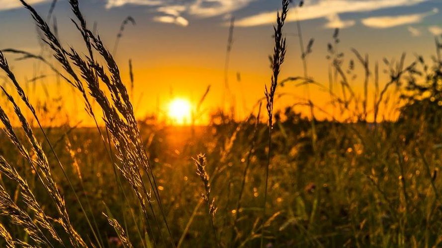 Un budget à la hauteur des défis environnementaux et climatiques