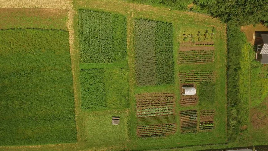 Un champ… d'action