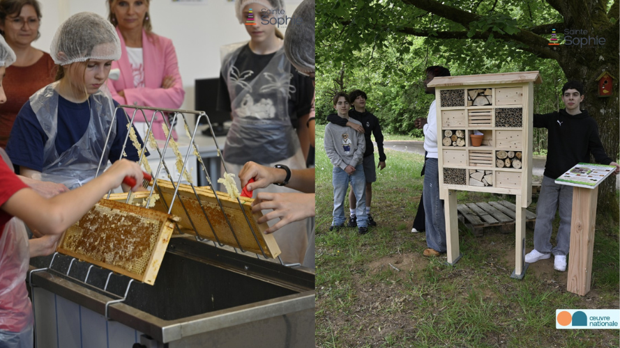 Les élèves l'École Sainte-Sophie se mobilisent pour la planète