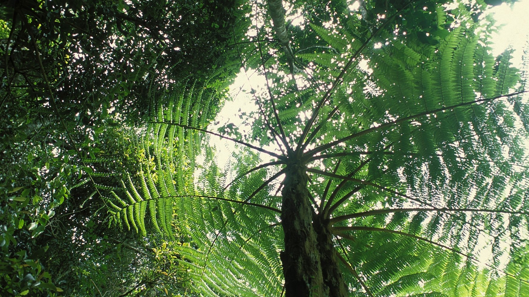 Une finance durable au service de la Terre vivante