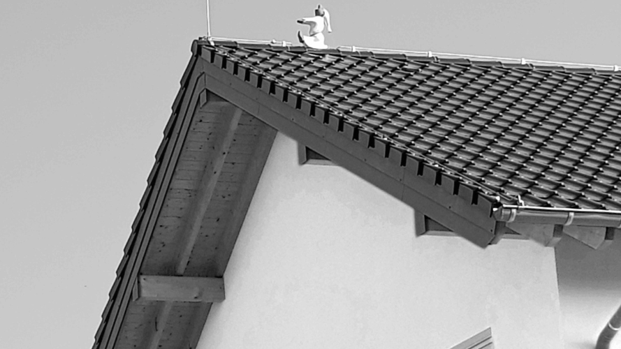 Comment choisir une toiture qui dure ?