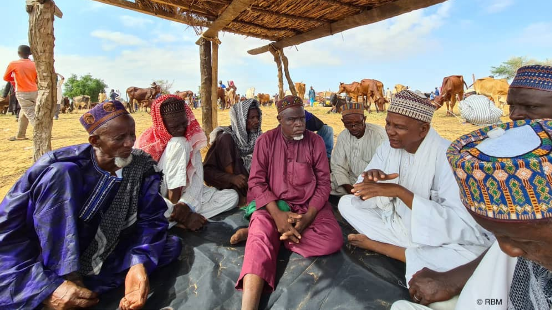 Assurance climatique : IBISA, la fintech qui protège les agriculteurs