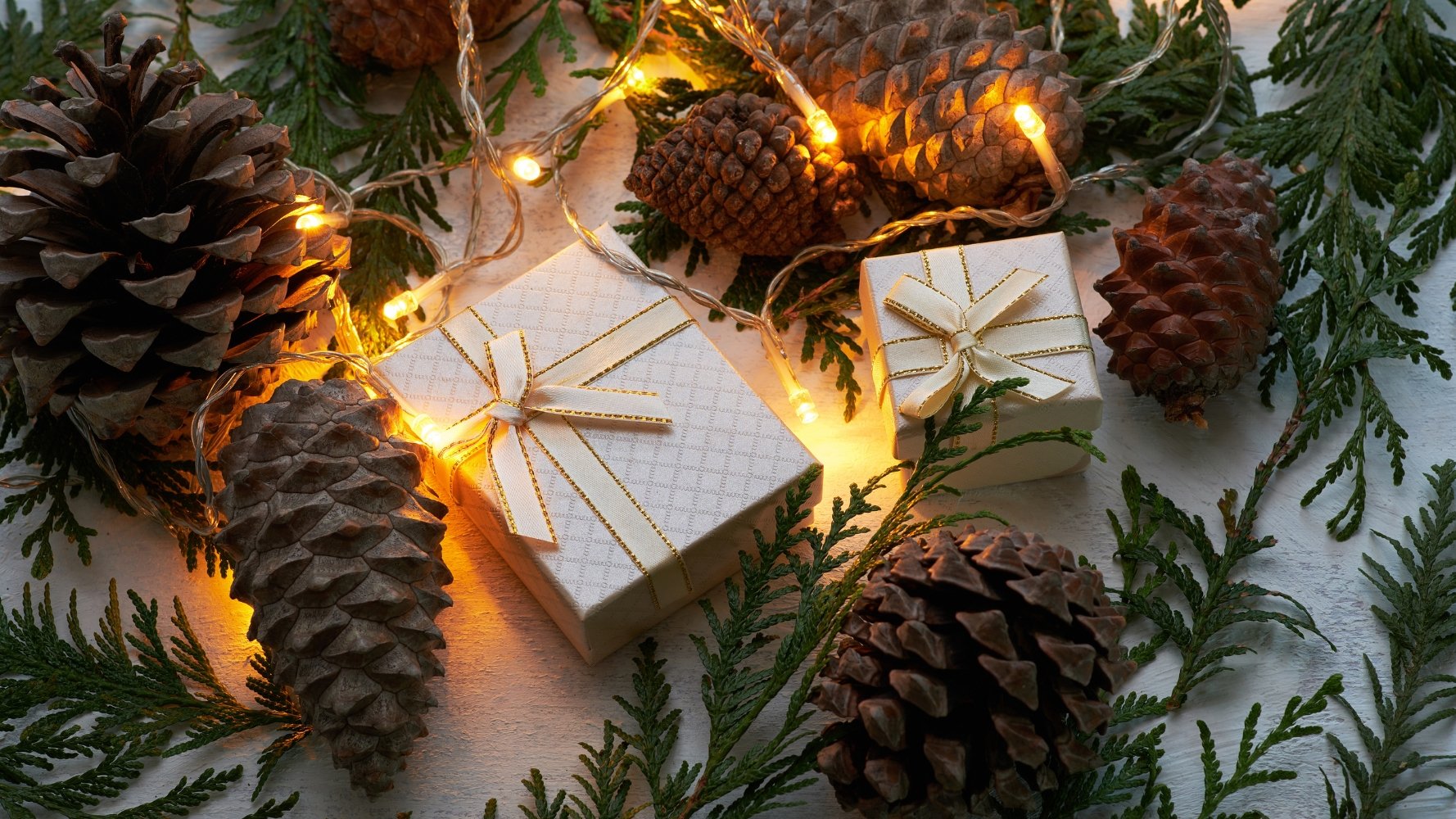 Fêtes de fin d'année : des cadeaux durables sous le sapin de Noël