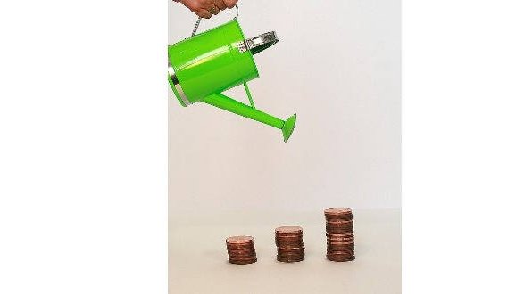 Les entreprises du CAC40, mauvaises élèves dans la prise en compte de la biodiversité