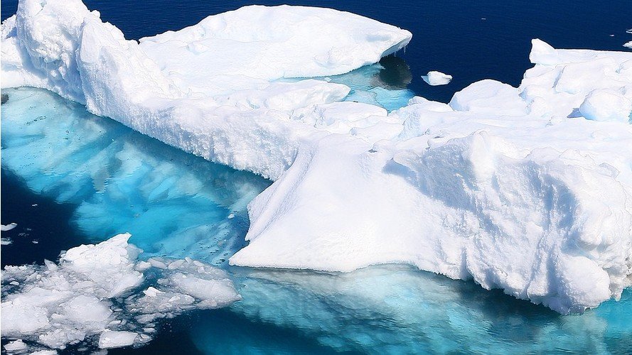 Des industriels de la pêche au krill appellent à la création d'un sanctuaire marin en Antarctique