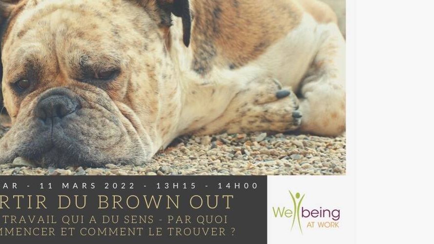 Sortir du brown out
