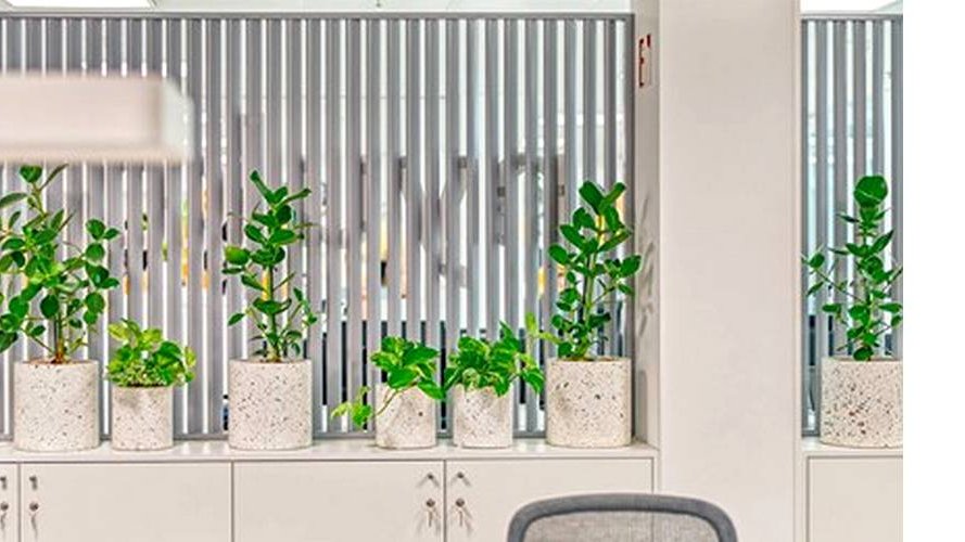 nyuko asbl recrute !