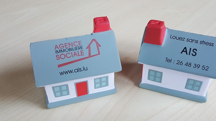 L'AIS, leader luxembourgeois de la gestion locative sociale renforce son équipe par :