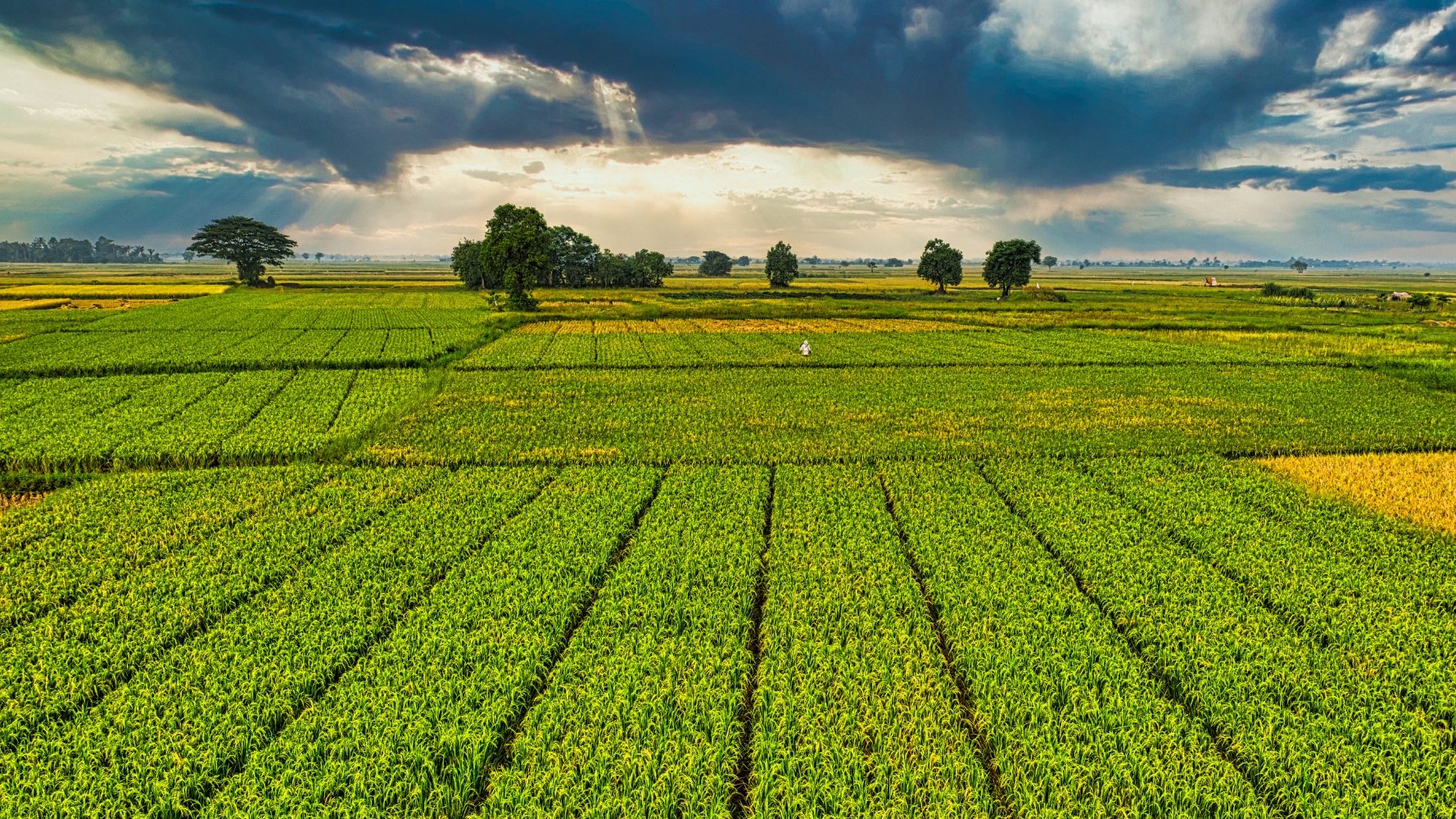 Alimentation locale : deux regards sur la politique agricole luxembourgeoise