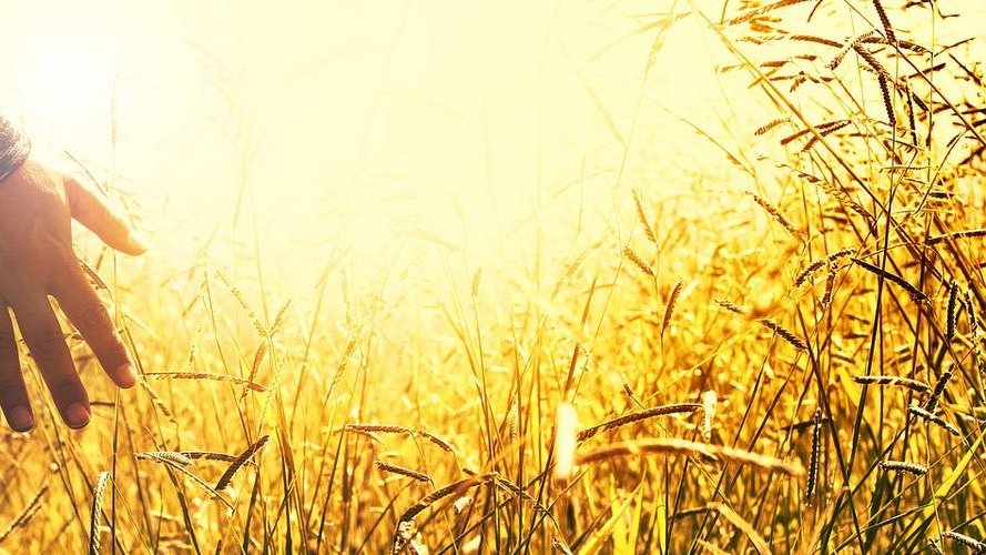 Europäischer Gerichtshof lässt historische Klimaklage von zehn Familien gegen die EU zu