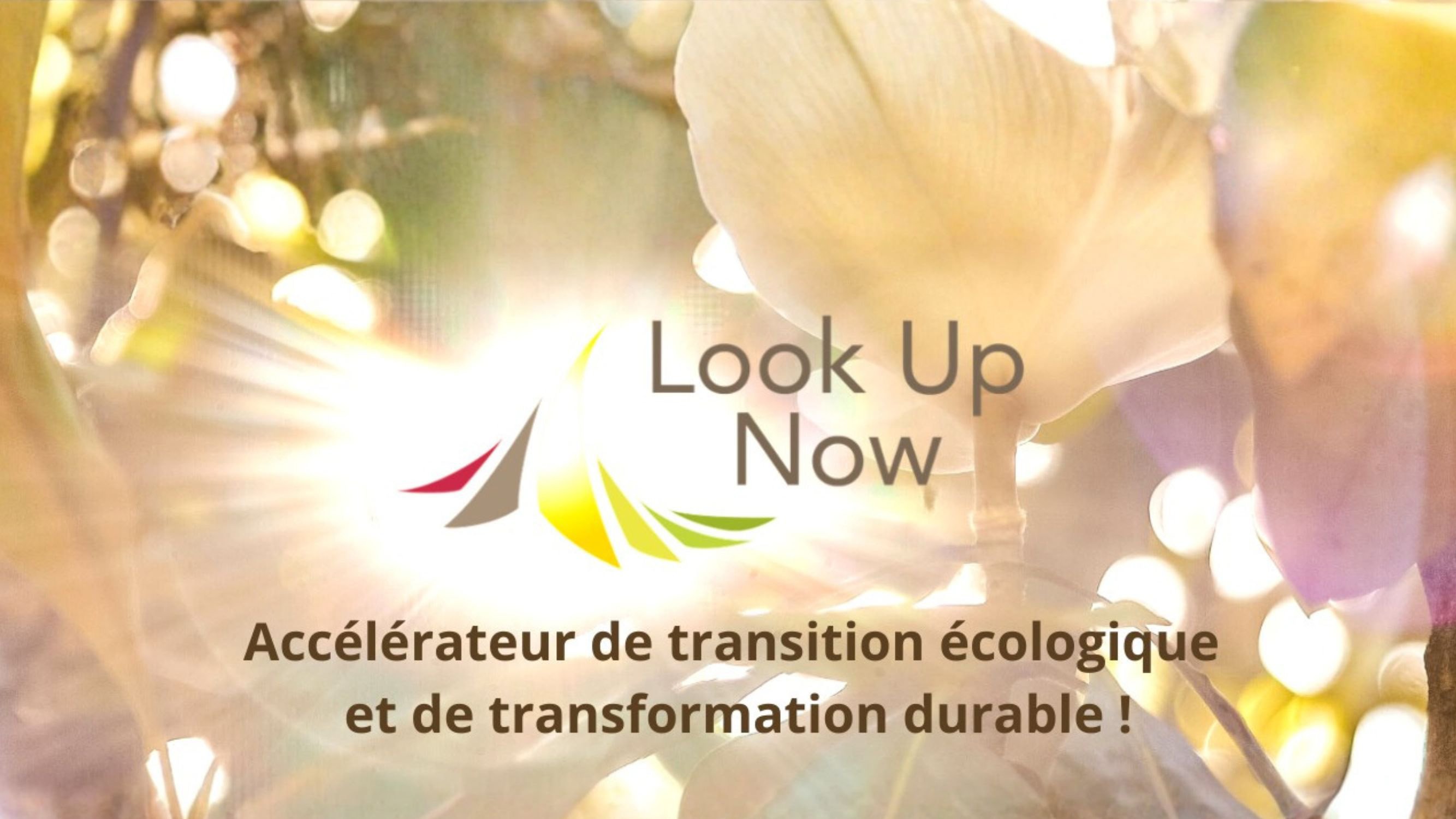 Look Up Now, nouveau partenaire d'In4Green !