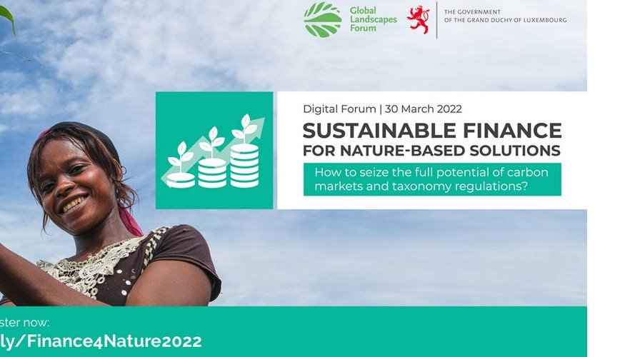 Financial sector bets on carbon markets and sustainable land use