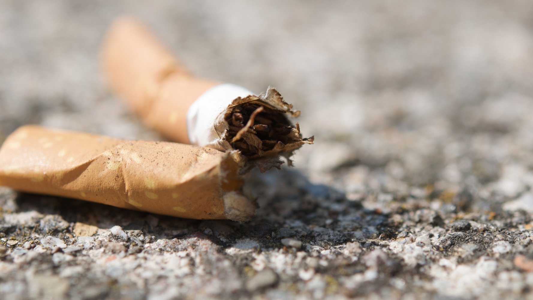 Les mégots de cigarettes, un fléau écologique enfin reconnu