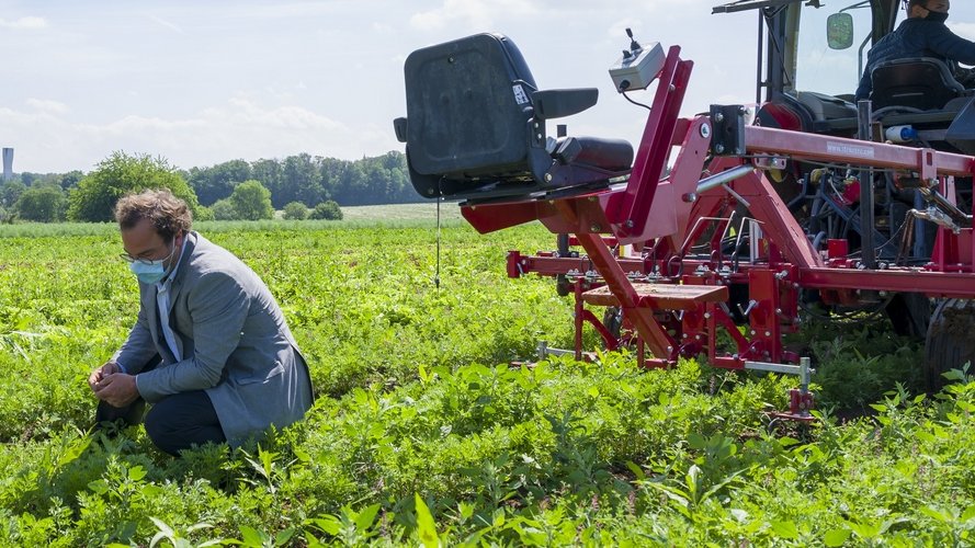 Son Altesse Royale sur le terrain bio