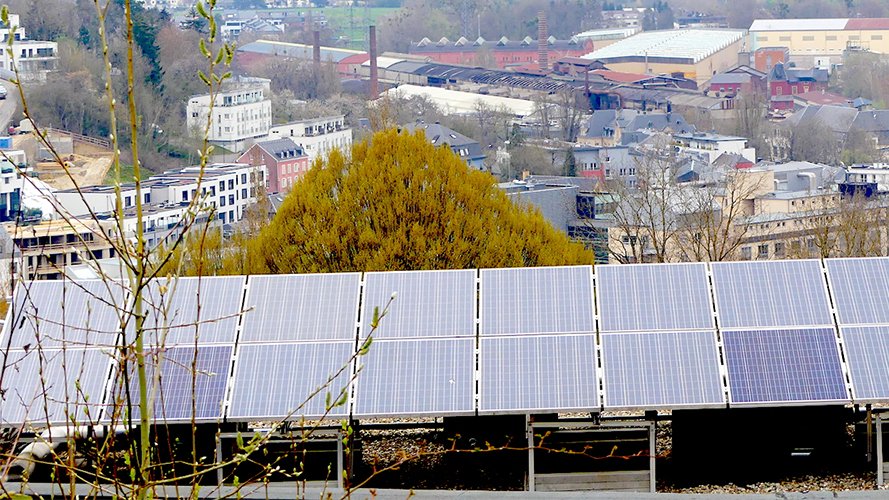 « Passons rapidement aux énergies renouvelables ! »