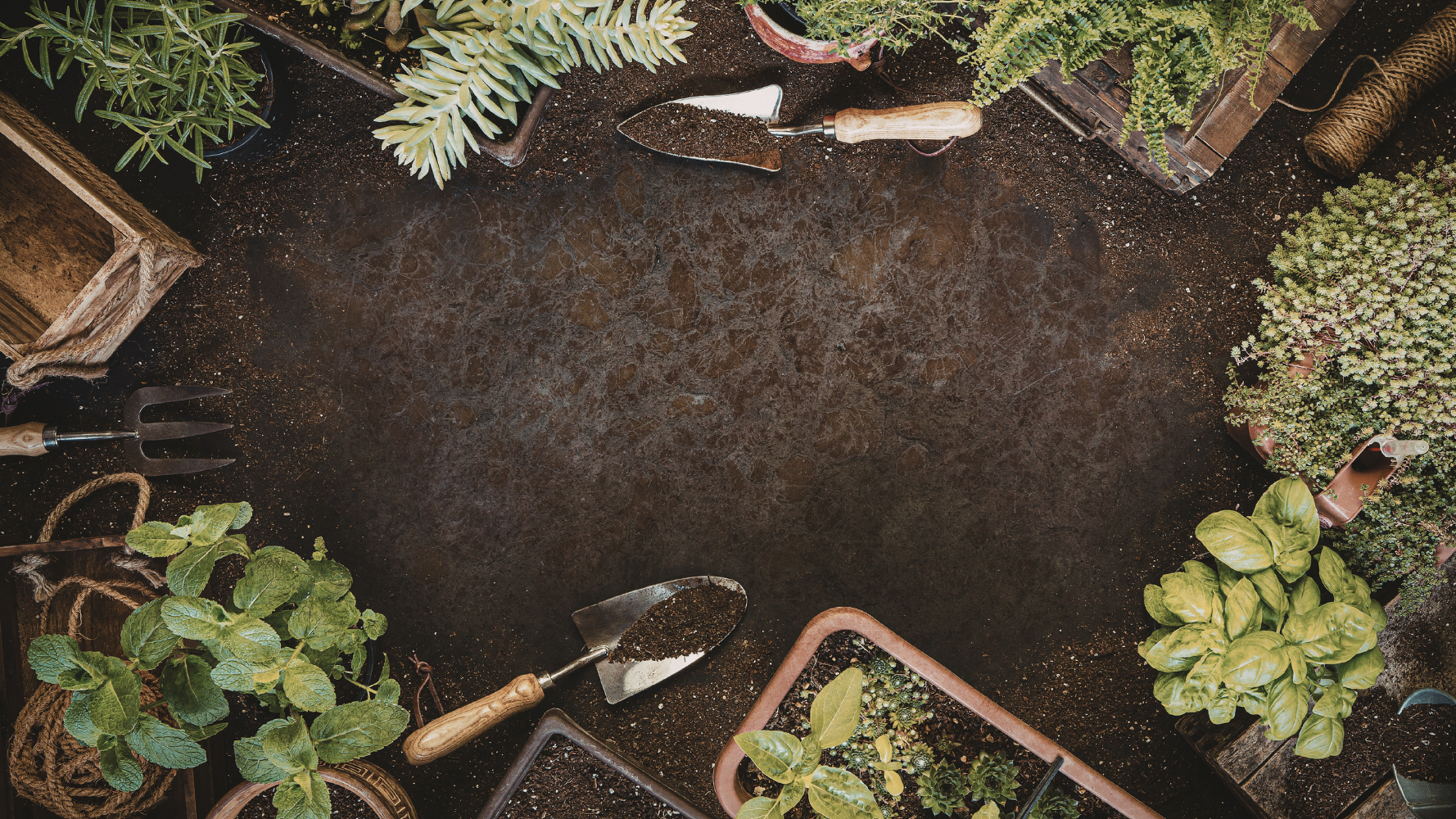 Conférence - « Et si nous pouvions cultiver l'eau ? »