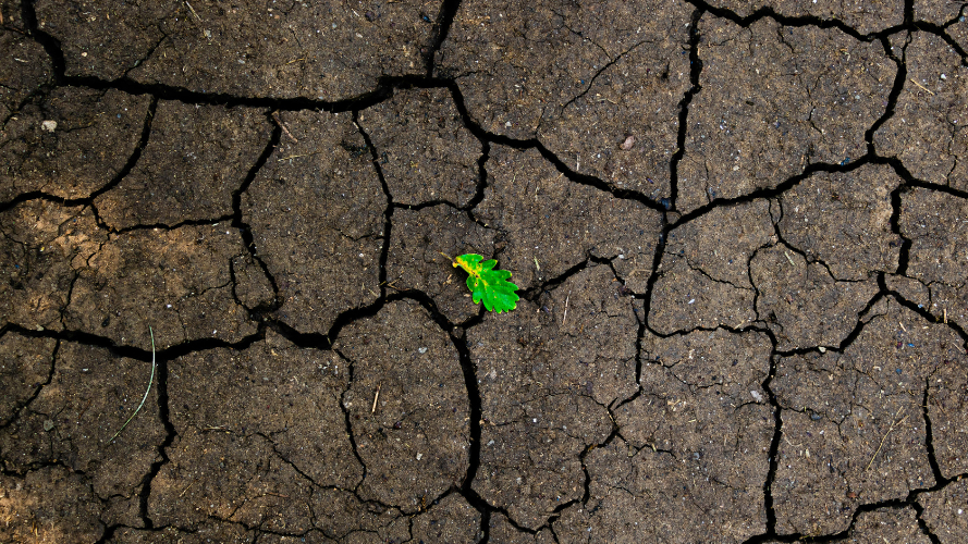 « L'eau face aux extrêmes » comme thème de l'Escher Klimawoch 2026