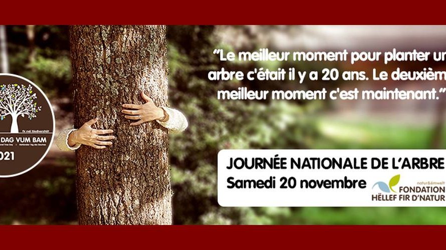 Journée nationale de l'arbre 2021 : Soutenez nos projets de plantation