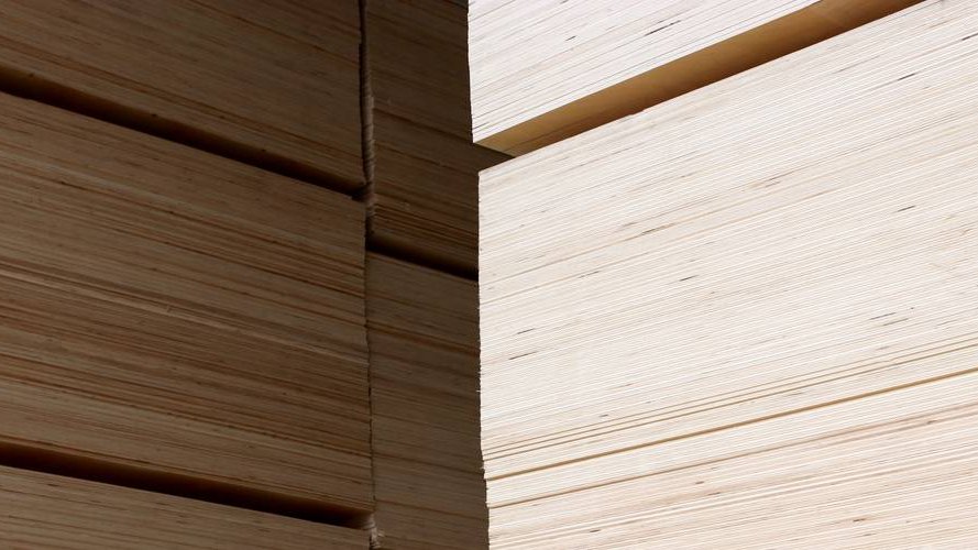 NO-NAIL BOXES contribue à la gestion durable de nos forêts
