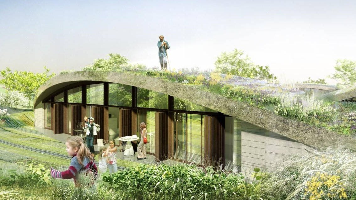 Construire soi-même un toit végétalisé : c'est possible !