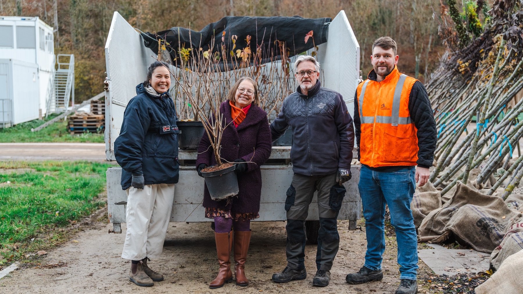 IMS invite les organisations installées à Luxembourg à planter des arbres
