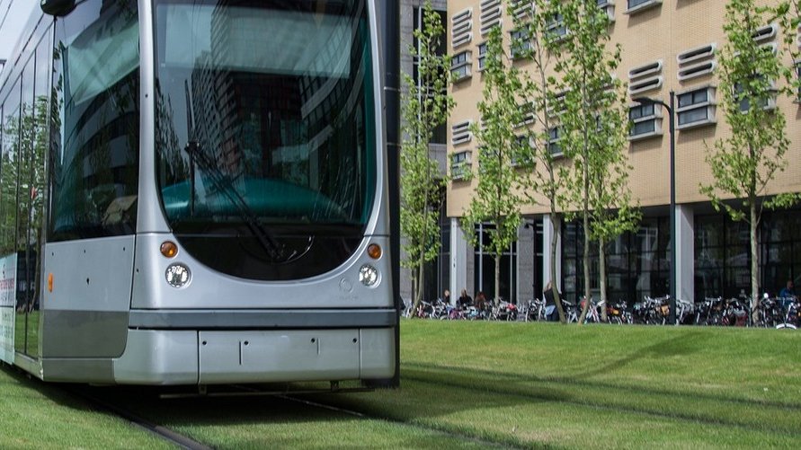 Comment on « végétalise » les villes