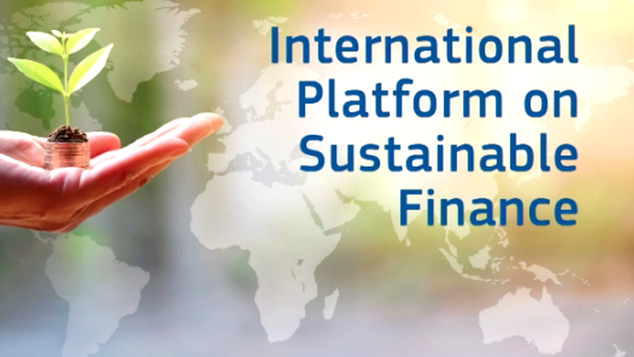 Call for participation : Platform on sustainable finance - SME SURVEY