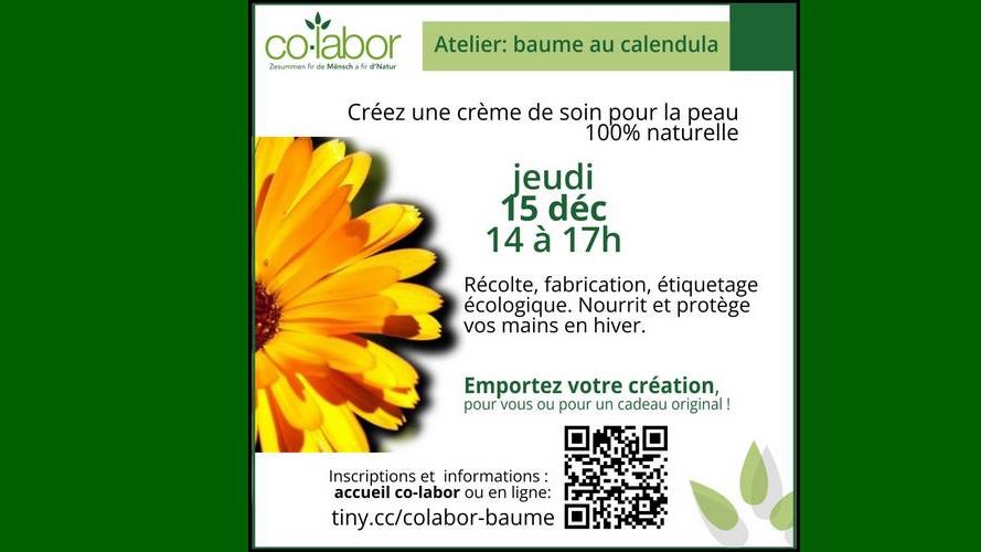 Atelier : fabrication de baume au calendula, pour le soin de la peau