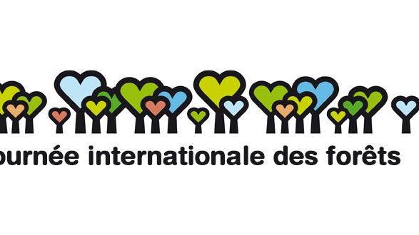 10 bonnes raisons de faire attention à nos forêts !