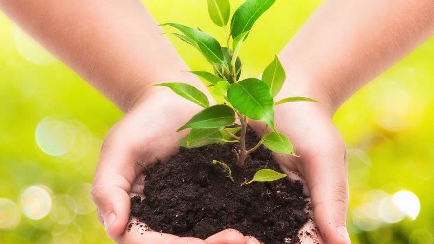 Codur S.A., nouveau partenaire d'Infogreen !